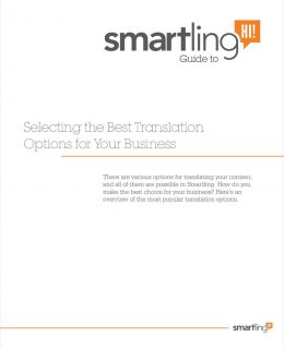 Selecting the Best Translation Options for Your Business