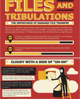 Files and Tribulations – The Importance of Managed File Transfer