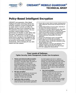 Secure Corporate Data with Policy-Based Intelligent Encryption