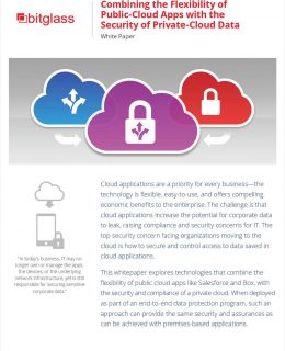 Combining the Flexibility of Public-Cloud Apps with the Security of Private-Cloud Data for the Finance Industry