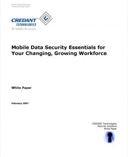 Mobile Data Security Essentials for Your Changing, Growing Workforce
