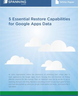 5 Essential Restore Capabilities for Google Apps Backup