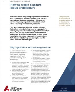 Adapting Security to the Cloud