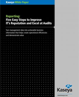 Five Easy Steps to Improve IT's Reputation and Excel at Audits