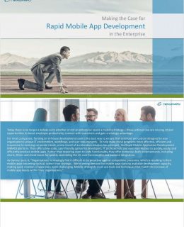 Making the Case for Rapid Mobile App Development