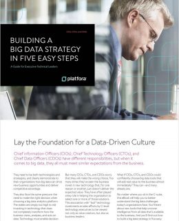 Building a Big Data Strategy in Five Easy Steps