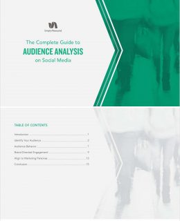 The Complete Guide to AUDIENCE ANALYSIS on Social Media