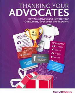 Motivate and Reward Your Customer, Employee and Blogger Advocates