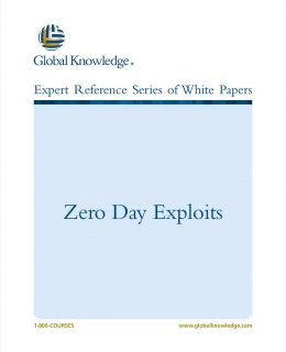 Zero Day Exploits