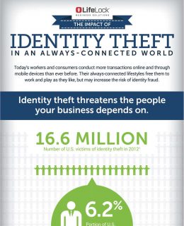 Combating Identity Fraud in a Virtual World