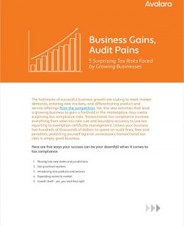 Business Gains, Audit Pains: 5 Surprising Tax Risks Faced by Growing Businesses