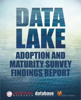 Data Lake Adoption and Maturity Survey Findings
