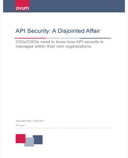 API Security: A Disjointed Affair