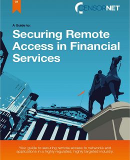 Securing Remote Access in Financial Services