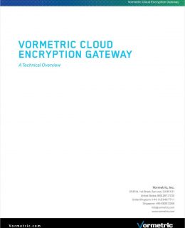 Vormetric Cloud Encryption Gateway: A Technical Overview