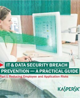 Practical Guide to IT Security Breach Prevention Part I: Reducing Employee and Application Risks