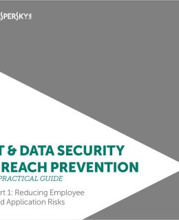 Practical Guide to IT Security Breach Prevention Part I