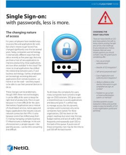 Single Sign-On: With Passwords, Less Is More