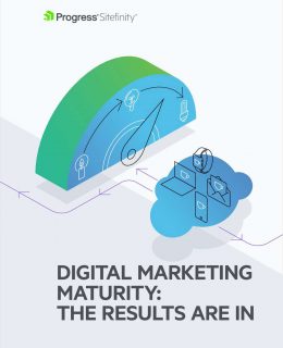 Digital Marketing Maturity: The Results are In
