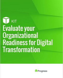 Evaluate your Organizational Readiness for Digital Transformation