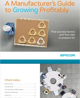 A Manufacturer's Guide to Growing Profitably