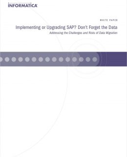 Implementing or Upgrading SAP? Don't Forget the Data: Addressing the Challenges and Risks of Data Migration