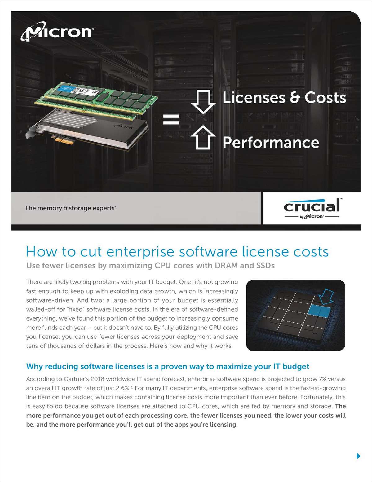 How to Cut Enterprise Software License Costs