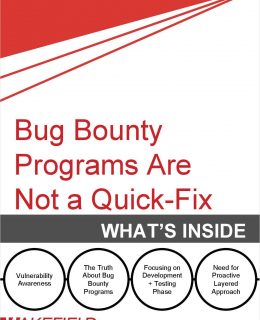 Bug Bounty Programs Are Not A Quick Fix
