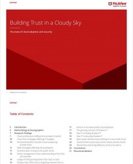 Building Trust in a Cloudy Sky