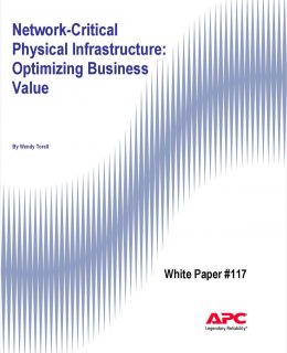 Network-Critical Physical Infrastructure: Optimizing Business Value