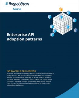 Enterprise API Adoption Patterns
