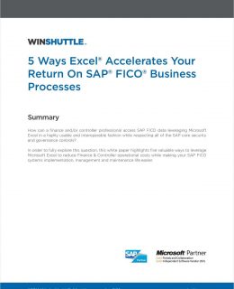 5 Ways Excel Accelerates Your Return on SAP FICO Business Processes