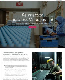 Re-energize Business Management