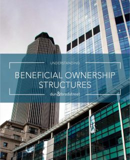 Understanding Beneficial Ownership Structures