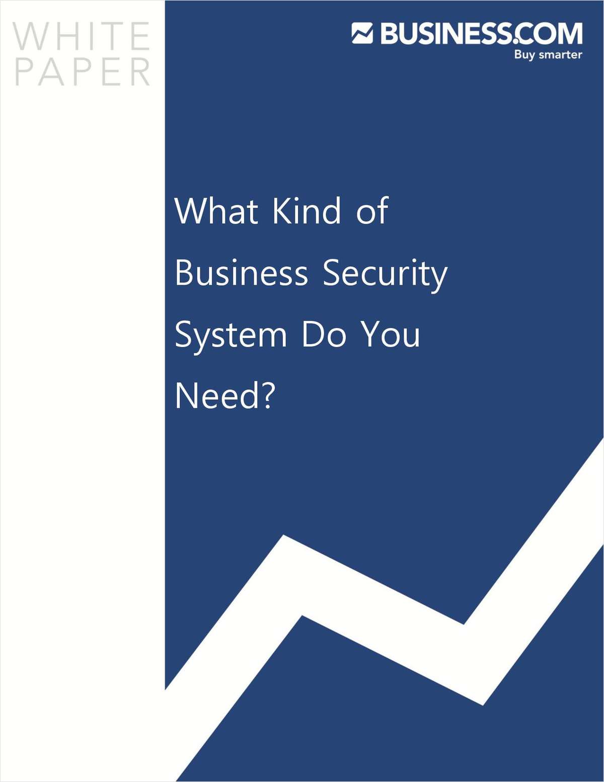 What Kind of Business Security System Do You Need?
