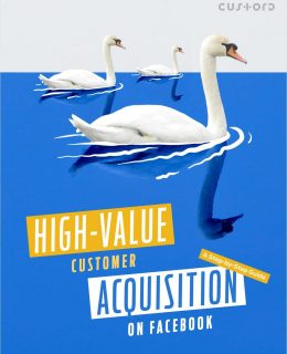 High-Value Customer Acquisition on Facebook