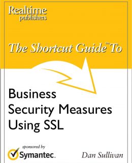 The Shortcut Guide to Business Security Measures Using SSL