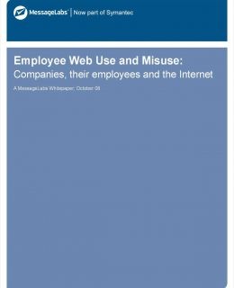 Employee Web Use and Misuse: Companies, Their Employees and the Internet
