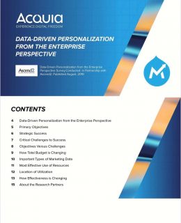 Data-Driven Personalization from the Enterprise Perspective