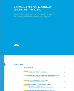Mastering the Fundamentals of AWS Cost Efficiency