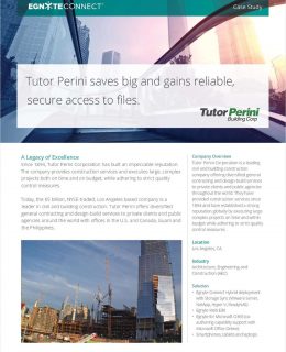 Tutor Perini Saves Big and Gains Reliable, Secure Access to Files