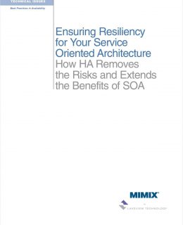 Puzzled by SOA? Ensuring Resiliency for Your Service Oriented Architecture