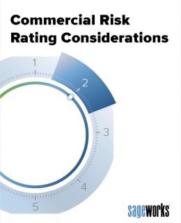 Commercial Risk Rating Considerations