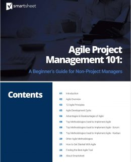 Agile Project Management 101: A Beginner's Guide