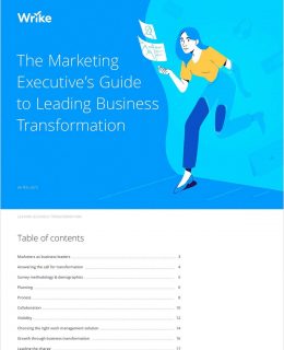 The Marketing Executive's Guide to Leading Business Transformation
