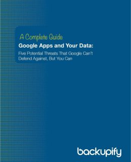 A Complete Guide: Google Apps and Your Data -- Five Threats that Google Can't Defend Against, But You Can