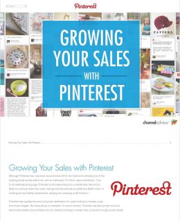 Capture Sales + Shoppers' Imaginations with Pinterest