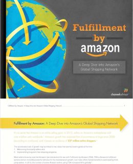 Fulfillment by Amazon: A Deep Dive into Amazon's Global Shipping Network