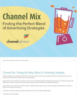 Channel Mix: Finding the Perfect Blend of Advertising Strategies