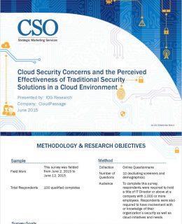Cloud Security Concerns and the Perceived Effectiveness of Traditional Security Solutions in a Cloud Environment